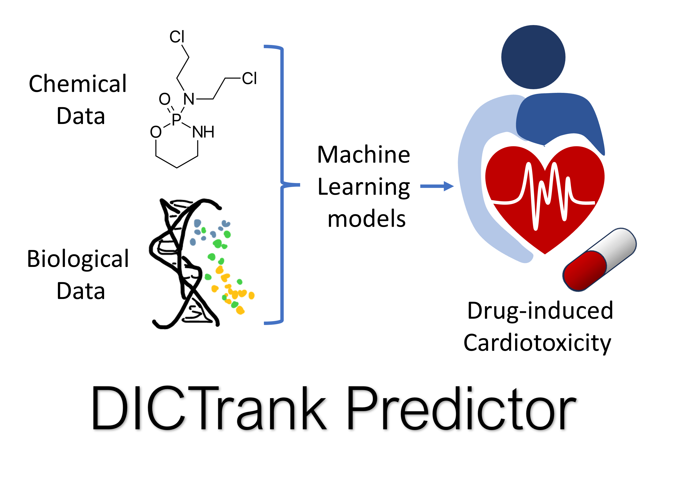 Insights into Drug Cardiotoxicity from Biological and Chemical Data: The First Public Classifiers for FDA Drug-Induced Cardiotoxicity Rank