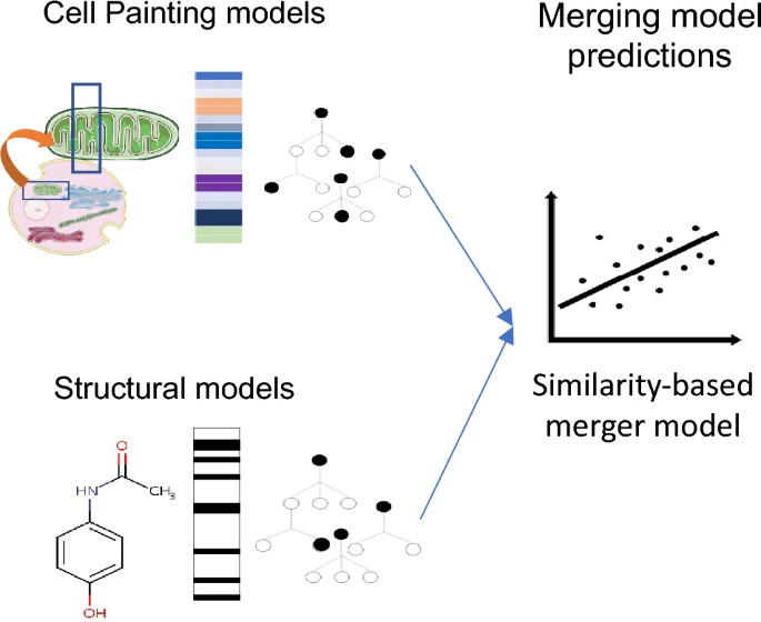 Merging Bioactivity Predictions from Cell Morphology and Chemical Fingerprint models using Similarity to Training data